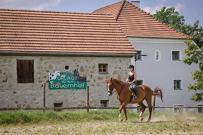 Reiturlaub in Ortenburg Passauer Land